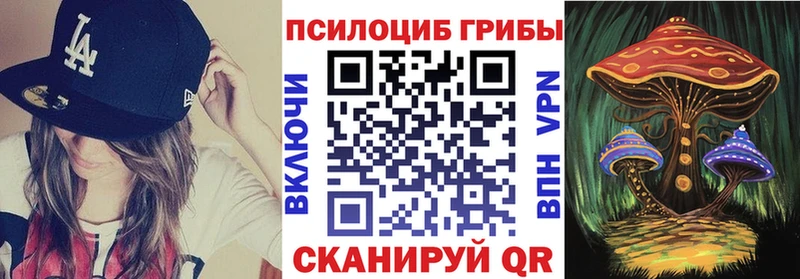 купить наркотик  Белгород  Псилоцибиновые грибы ЛСД 
