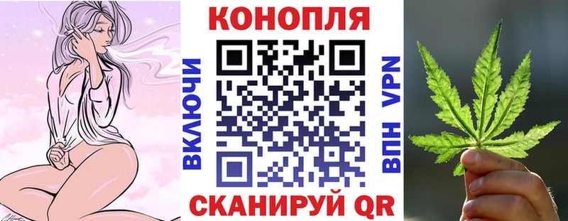 Бошки Шишки план  Белгород 